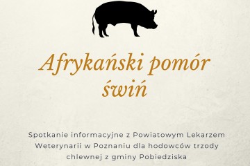 PIW Poznań plakat